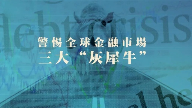 币圈灰牛风险预警图,灰犀牛风险
