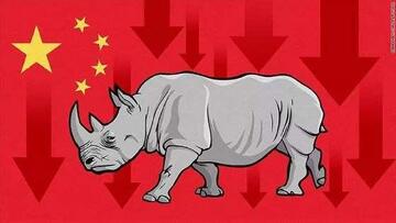 灰犀牛事件是怎么回事 币圈跑路信号,色彩丰富 无水印 说明图