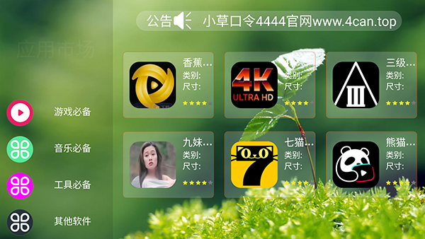 水果市场TV版apk下载最新版1.0截图3
