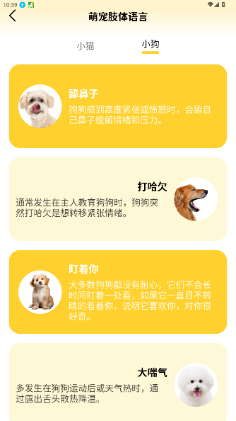 猫翻译器下载手机版官方版1.3截图0