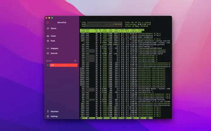 ServerCat苹果电脑版截图3