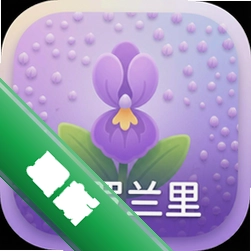 紫罗兰里中文版