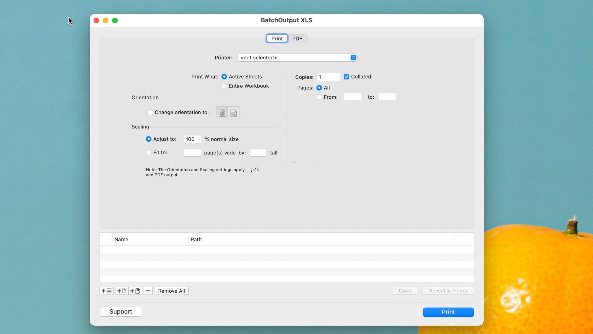 BatchOutput XLS for Mac���԰��ͼ2