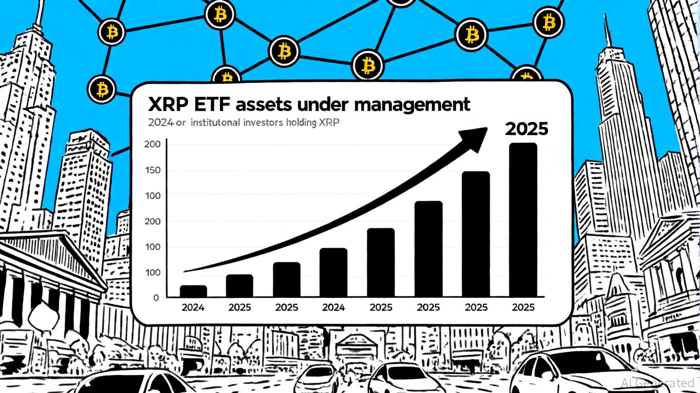 XRP投资风险 监管官司 中心化