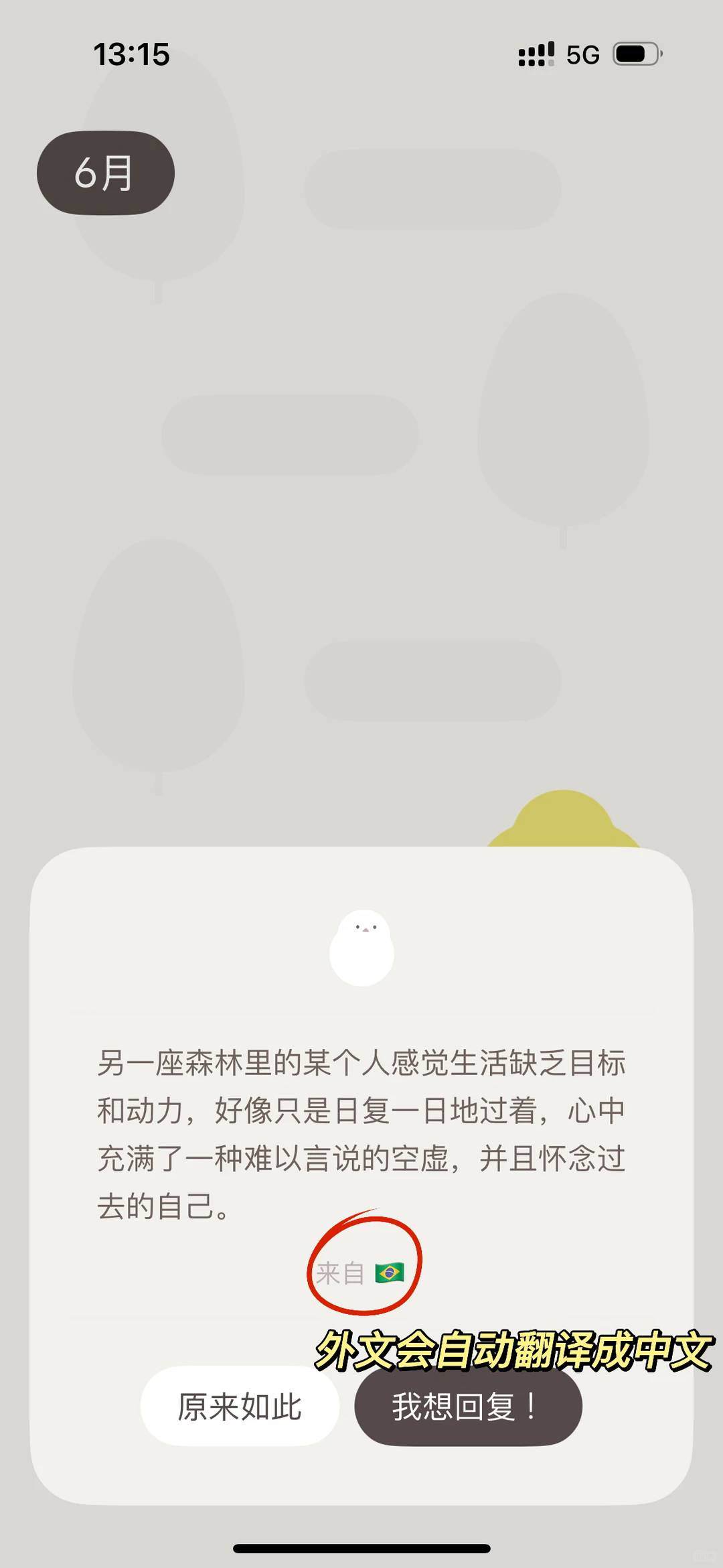 Mymory日记app官方正版2.56安卓版截图1