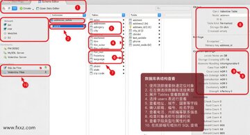 Valentina Studio Pro 数据库管理软件 Valentina Studio Pro 数据库管理软件