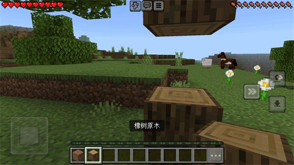 我的世界国际版安卓Minecraft基岩版1.26.32.2最新版截图2