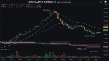 比特币与山寨币价格走势对比图,重点展示比特币上涨时山寨币横盘或下跌的关键K线对比