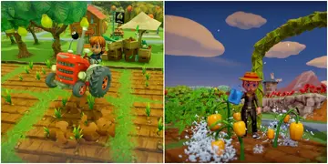 Farm Together游戏截图 农场全景 多人合作 种植 装饰