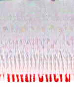 Ů�׽�1.0 �ٷ���