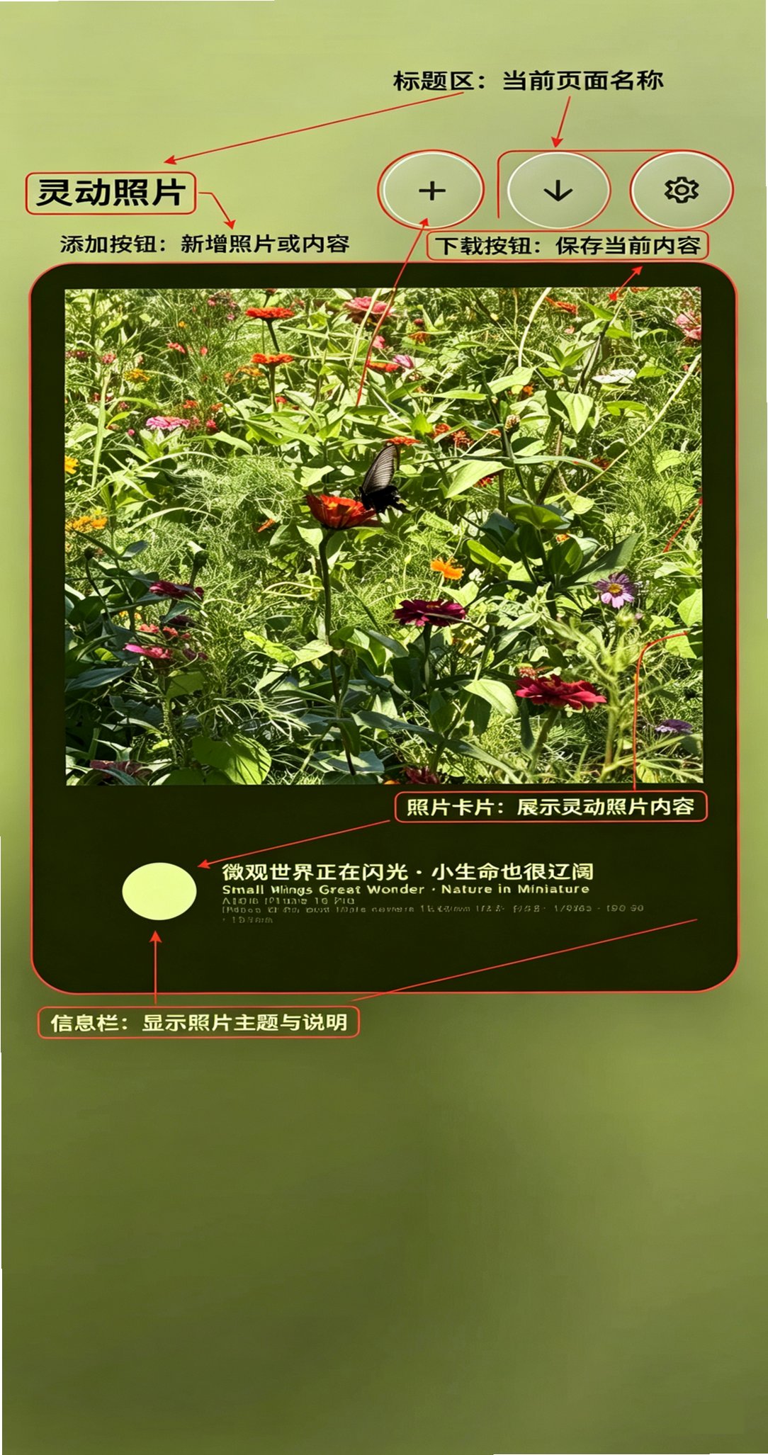 灵动照片软件官方版 灵动照片软件官方版