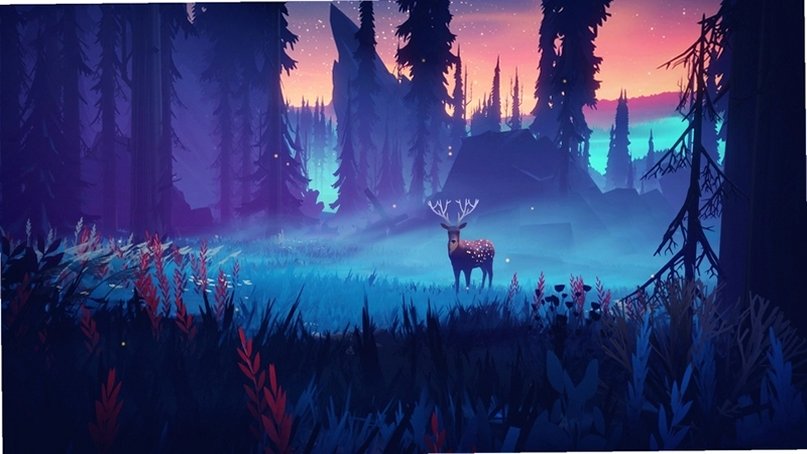 ���е�һ��Year In The Trees��ͼ0