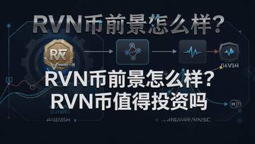 ����RVN��ǰ����Ͷ�ʼ�ֵ����ͼ������Ƹ�ͼ��չʾ�䷢�л������ʲ���;������������ʾ��RVN��ǰ����ô����RVN��ֵ��Ͷ����