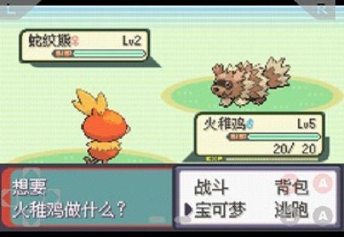���鱦���Σ������Ϸ������ս������