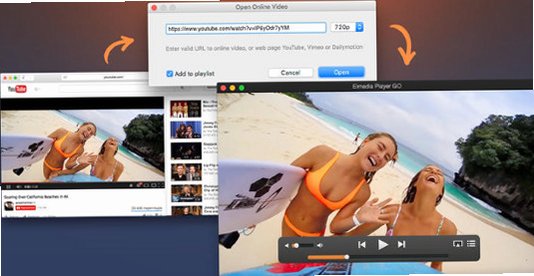 Elmedia Player Pro for Mac截图2