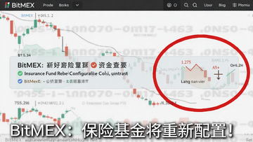 һ��BitMEX���׽����ͼ����ʾ���ջ����������õ�֪ͨ������Ա��ú�Ȧ����ʽ���ʱ䶯��ͼƬ�ײ��������֡�BitMEX�����ջ����������ã���