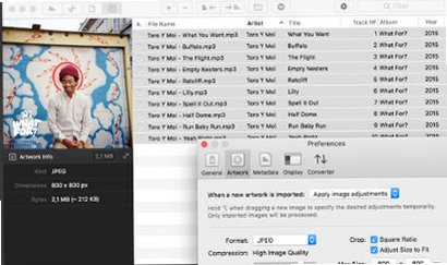 Meta for Mac��ƵԪ�������ֱ�ǩ��Ϣ�༭����ͼ2