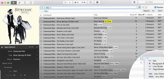 Meta for Mac��ƵԪ�������ֱ�ǩ��Ϣ�༭����ͼ3