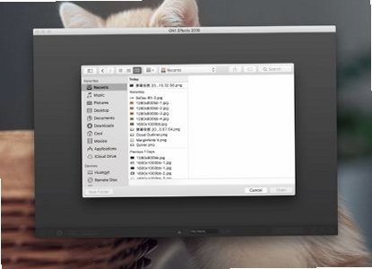 ON1 Effects for Mac版(照片特效软件)截图1