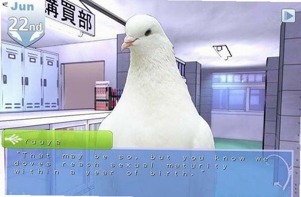 帅鸽男友假日之星最新版截图1