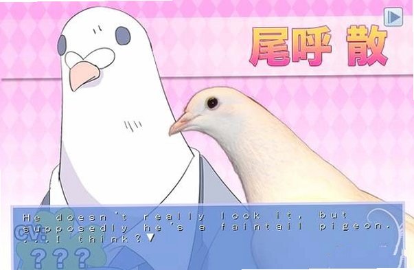 帅鸽男友假日之星最新版截图2