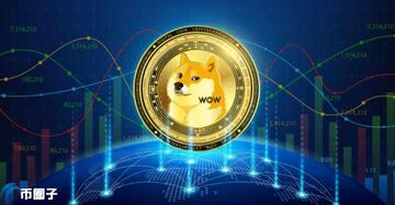 ��������ƭ����,DOGEͶ�ʷ���