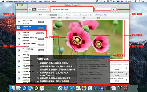 Duplicate Manager Pro for Mac���԰��ͼ0