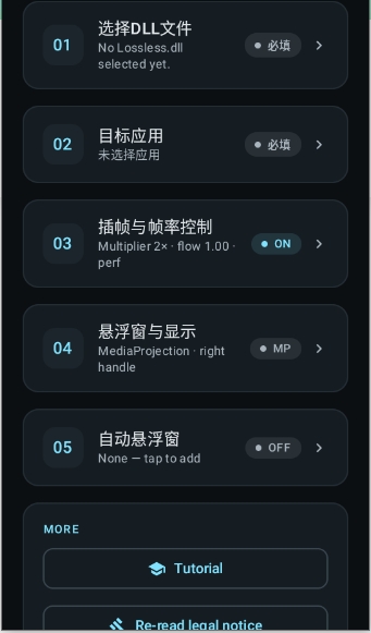 小黄鸭插帧工具(LSFG Android)最新版0.1.2截图3