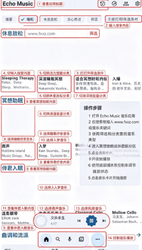 EchoMusic手机版最新版 EchoMusic手机版最新版