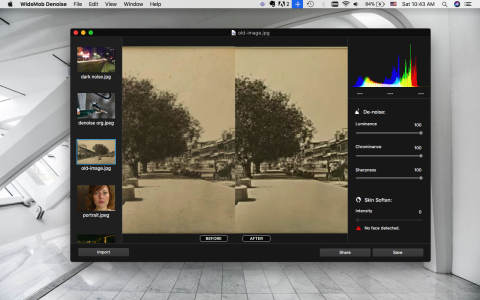 WidsMob Denoise for Mac(全能图像降噪软件) WidsMob Denoise for Mac(全能图像降噪软件)