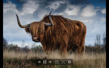 WidsMob Image Viewer for Mac电脑版 WidsMob Image Viewer for Mac电脑版