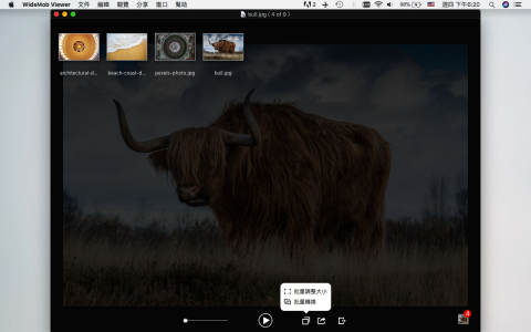 WidsMob Image Viewer for Mac���԰�