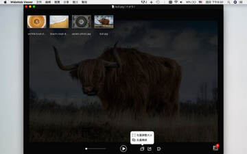 WidsMob Image Viewer for Mac电脑版 WidsMob Image Viewer for Mac电脑版