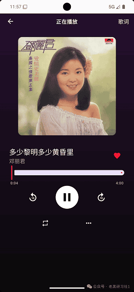 肥妞音乐飞牛第三方软件客户端 肥妞音乐飞牛第三方软件客户端