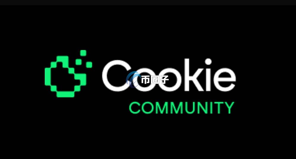 cook币最新消息,COOK币团队
