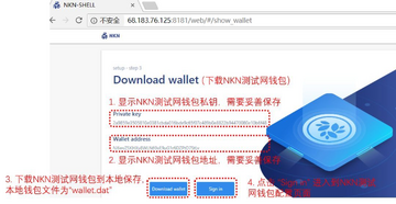 NKN�ٷ�Ǯ����������,NKN����ô�ڿ�