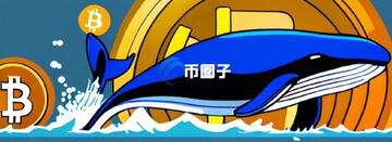 2026年比特币牛市时间窗口 链上巨鲸活动