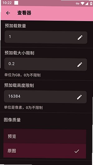 LoliSnatcher软件免费版v2.5.2最新版截图3