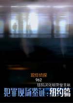 犯罪现场鉴证:纽约篇v1.0.0官方版