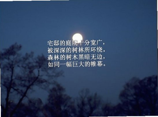 预览图