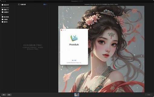 PhotoBulk for Mac(批量图片处理工具)截图4
