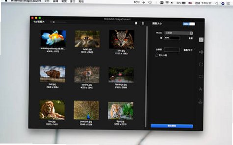 WidsMob ImageConvert for Mac(批量图片转换器)截图2