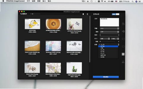 WidsMob ImageConvert for Mac(批量图片转换器)截图1