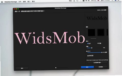 WidsMob Montage for Mac(蒙太奇图片制作)截图2