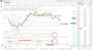 周线级别BTC长期走势图,数字货币大跌怎么回事啊