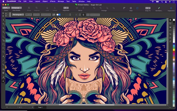 CorelDRAW Graphics Suite 2022 Mac�� CDRʸ������׼���ͼ2