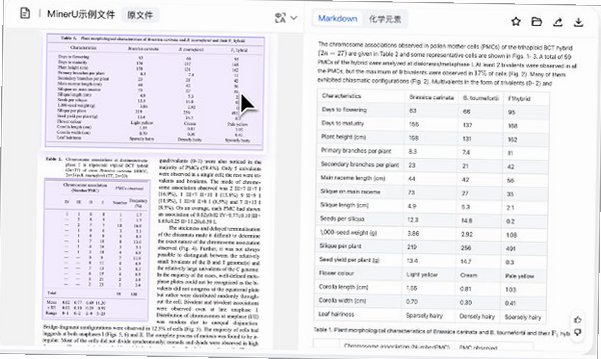 MinerU Mac版 开源PDF智能文档解析客户端截图1