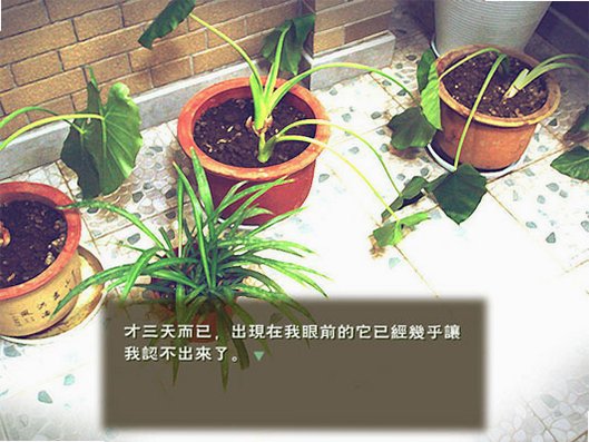 绿噩游戏截图2