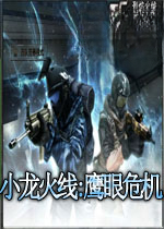 小龙火线:鹰眼危机1.0.0官方版
