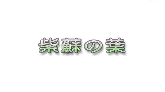 紫苏之叶游戏截图3